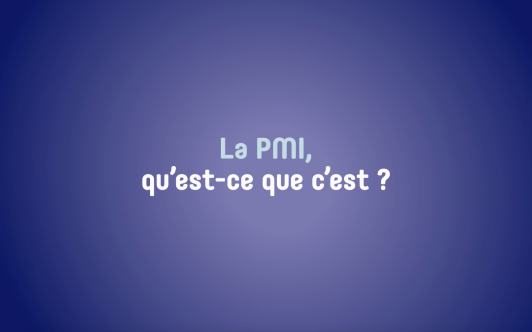 3 façons d’utiliser la vidéo “La PMI qu’est-ce que c’est ?”
