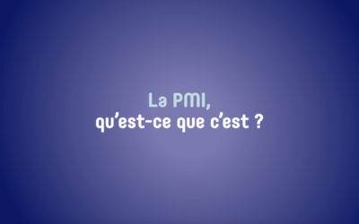 3 façons d’utiliser la vidéo “La PMI qu’est-ce que c’est ?”
