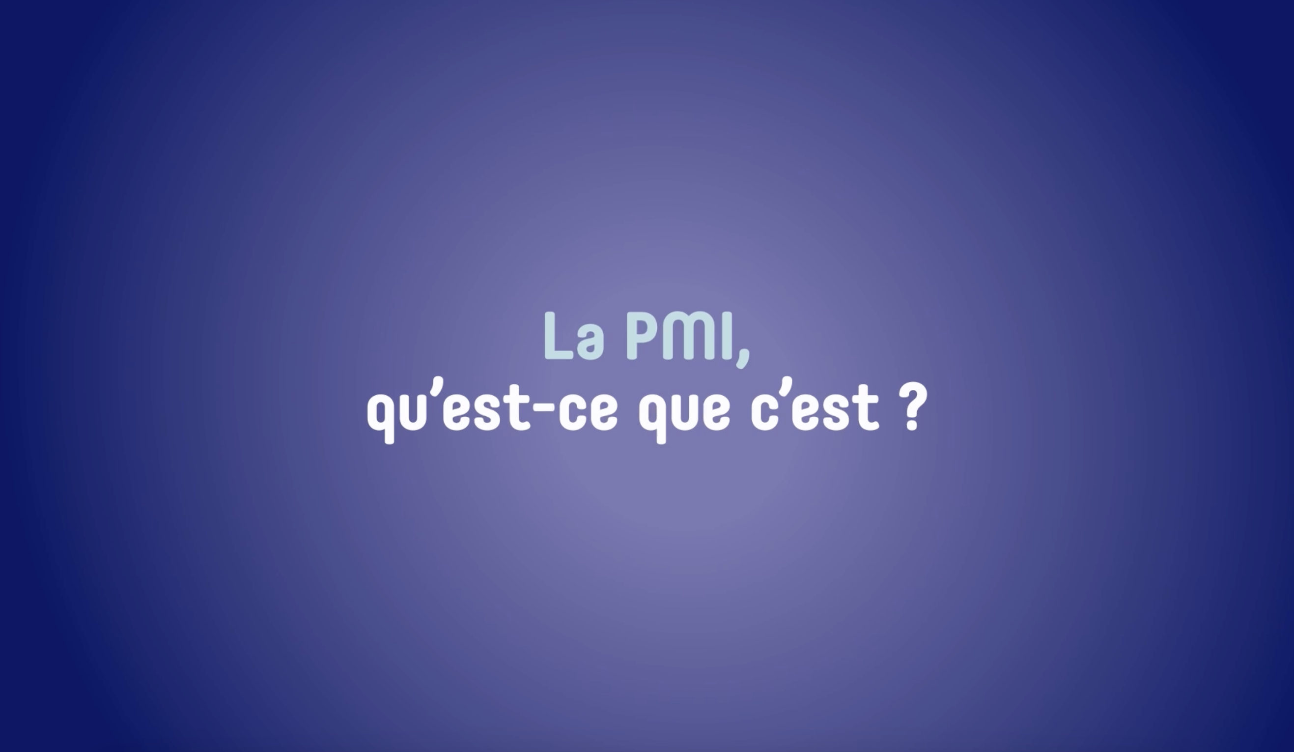 Comprendre La PMI En Vid o 3 Fa ons D utiliser Cet Outil comprendre-la-pmi-en-vid-o-3-fa-ons-d-utiliser-cet-outil