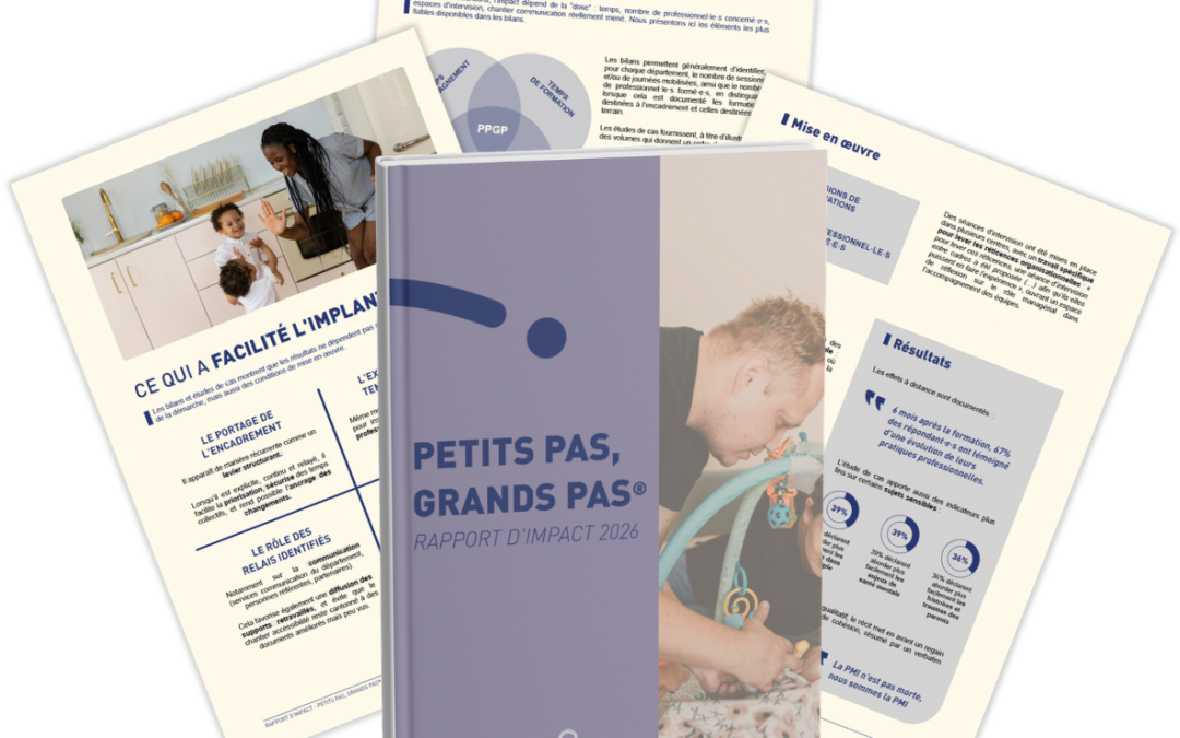 Rapport d’impact de Petits pas, Grands pas : la synthèse