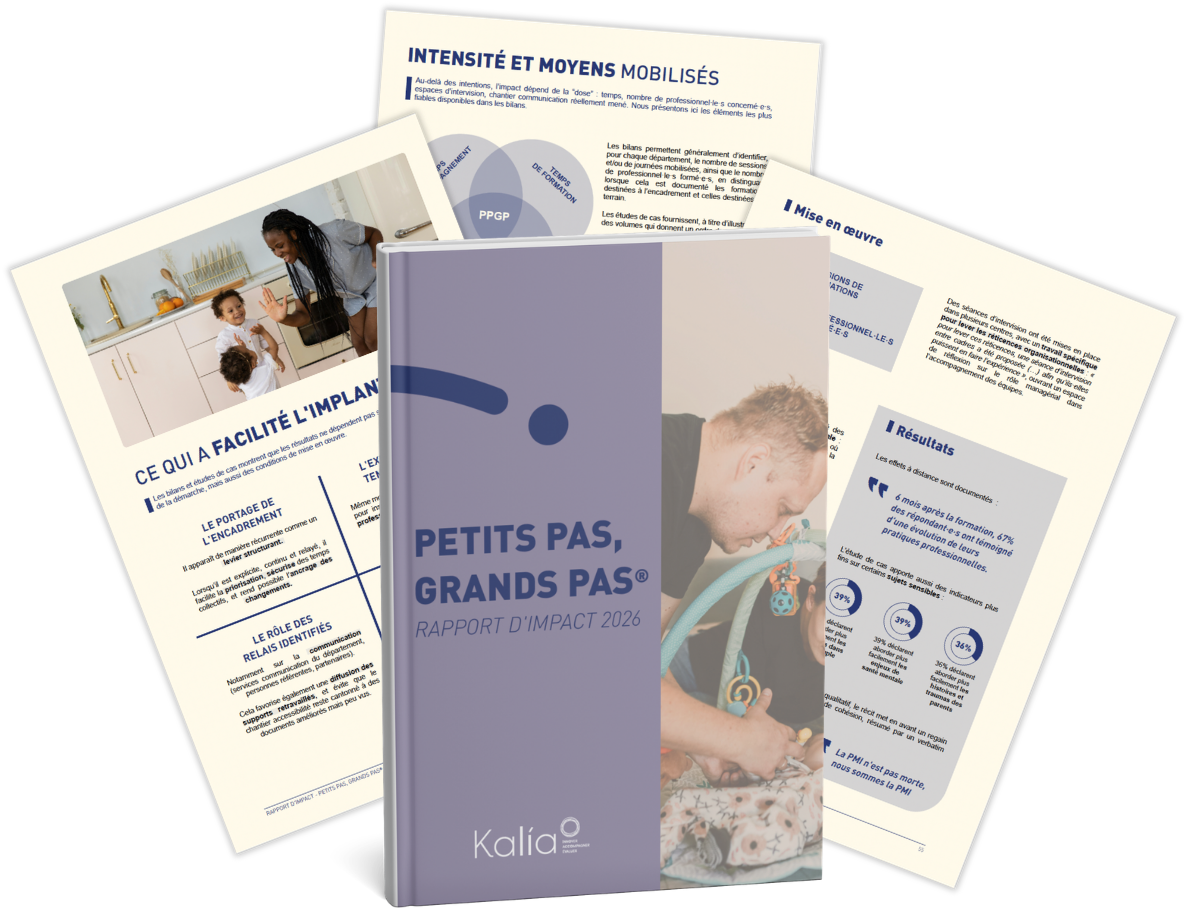 Visuel rapport d'impact PPGP